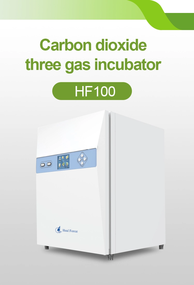 Heal Force Laboratory Large Price Principle Hf100 Medical Laboratory 150L CO2 Incubator